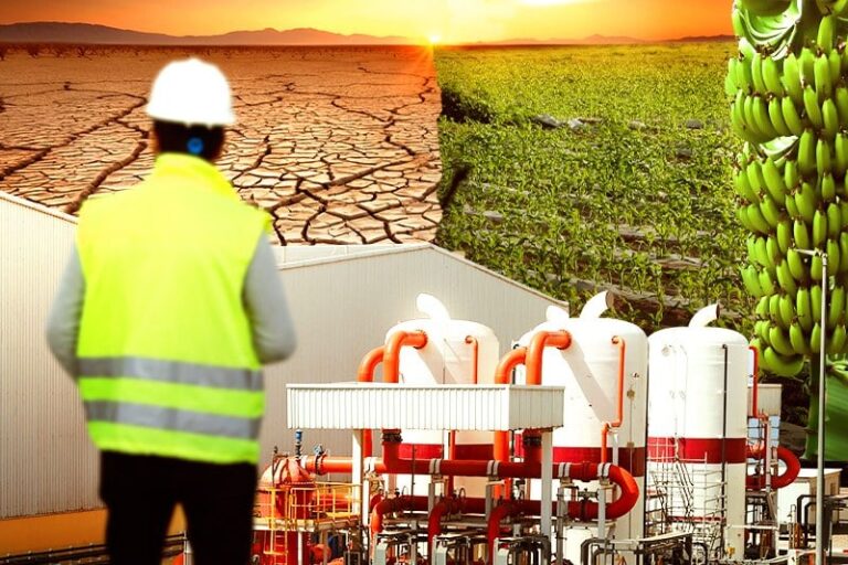 من المحيط إلى الضيعات .. تحلية مياه البحر تنقذ الإنتاج
