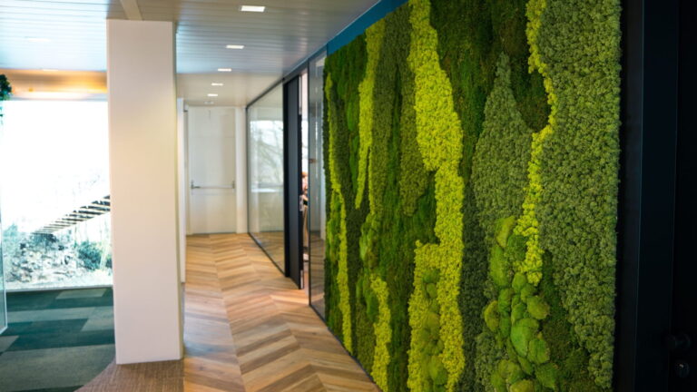 الشارقة تستثمر الفن لتعزيز الوعي بقضايا الاستدامة