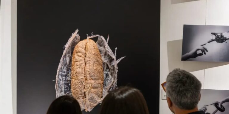 خاص لـ”هي”: الفنانة السعودية رحاب الغذامي تعرض “الروح” في Rome International Art 2025.. سردية بصرية من نواة التمرة