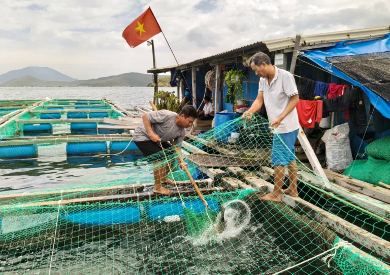 العديد من النقاط المضيئة في الإنتاج التكنولوجي العالي والزراعة البحرية