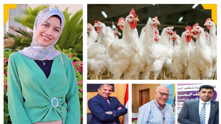 منظمات الميكروبيوم الحيوية.. ثورة جديدة في عالم إنتاج الدواجن