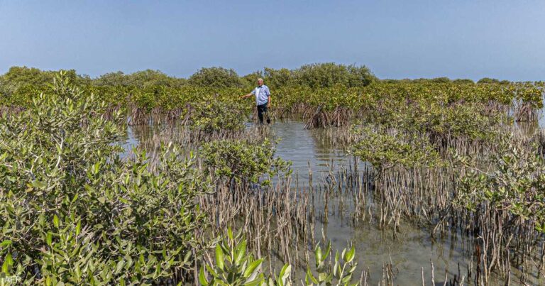 نصف مليار إنسان مهددون بأزمة غذاء خانقة في الشرق الأوسط؟