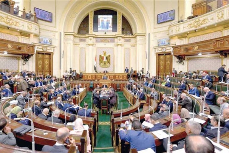 «الرئيس استخدم حقه».. كيف علَّق حقوقيون على رد «الإجراءات الجنائية» للبرلمان؟