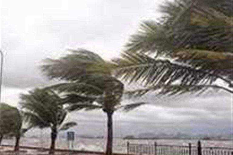 سحب منخفضة على القاهرة.. بيان مهم من الأرصاد يكشف حالة الطقس غدًا