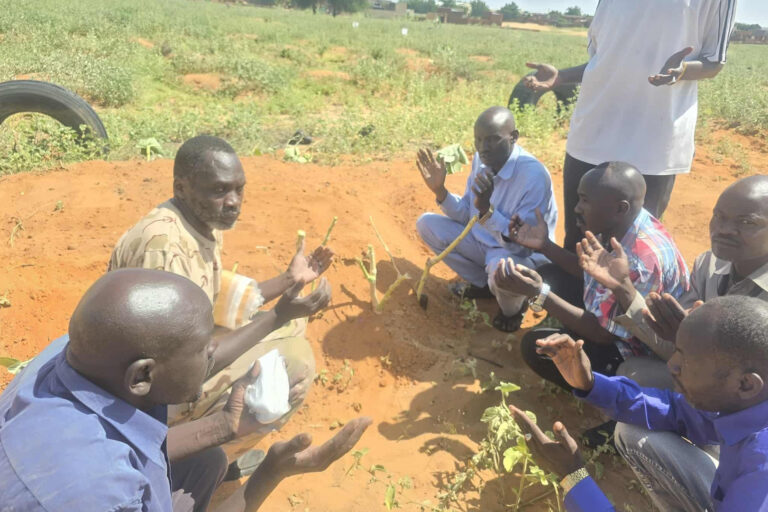 دفن جماعي بلا أكفان لضحايا الفاشر