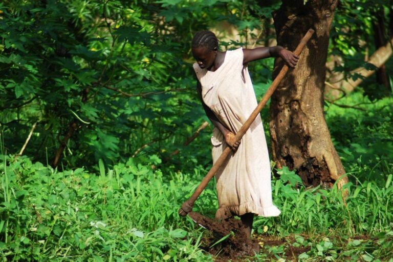 “جبال النوبة السودانية” تكافح المجاعة بزراعة المرتفعات