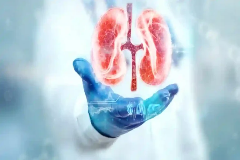 “خبراء الصحة” يعلنون قائمة سرية.. 6 أطعمة لذيذة تقوي الكلى وتحميك من العدوى