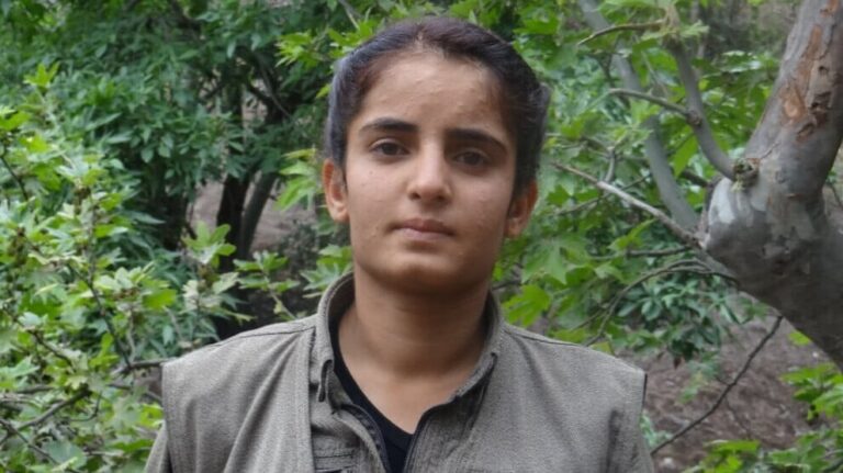 شيرين إيشك… بحث عن الحرية ممزوج بالفن