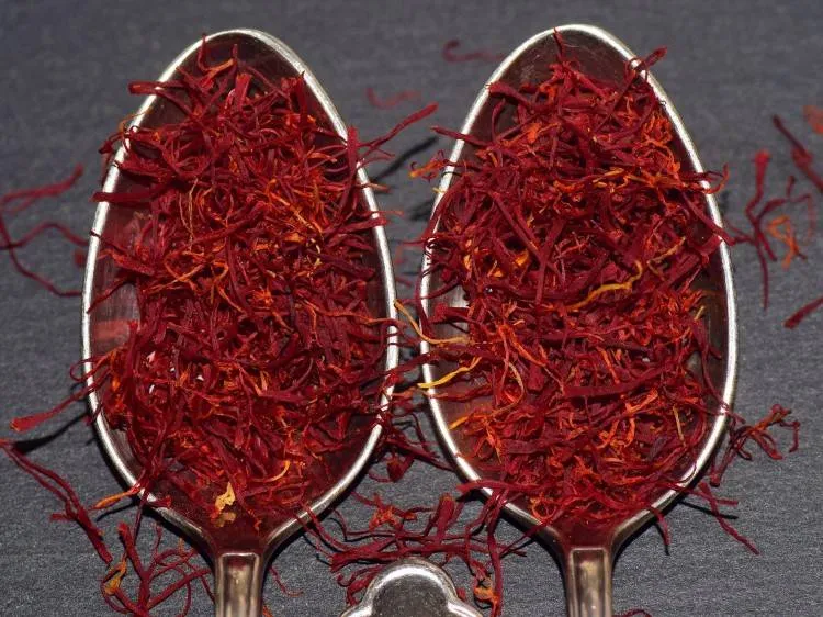 بهار رائج قد يكون سلاحاً ضد الاكتئاب ورافعة للصحة الجنسية