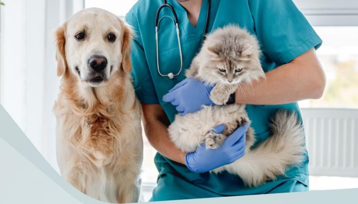 الإمارات.. مرسوم بقانون بشأن المنتجات الطبية لحماية صحة الحيوان