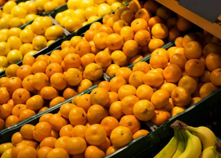 تقرير: مصر ستعزّز مكانتها كأكبر مُصدّر للبرتقال في العالم : CNN الاقتصادية