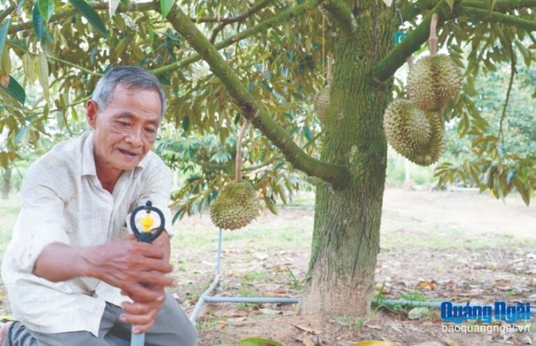 تتطور Quang Ngai تدريجيًا إلى مجتمع ريفي رقمي.