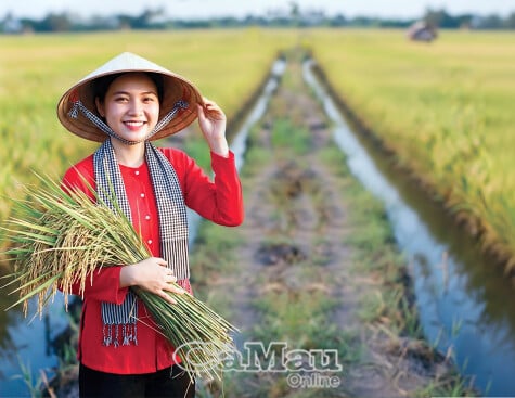 يُعتبر أرز كا ماو الأفضل على الإطلاق.